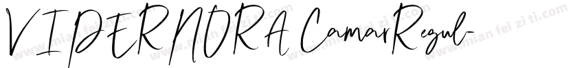 VIPERNORA CamarRegul字体转换
